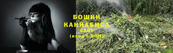шишки Ростов