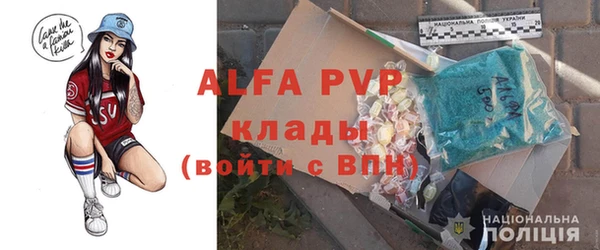 шишки Алексин