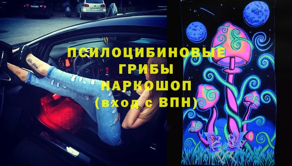 шишки Ростов