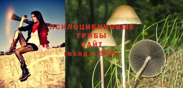 амф Саяногорск