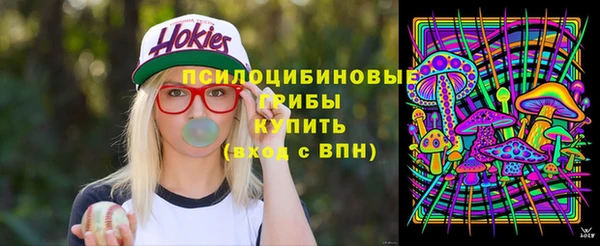 шишки Алексин