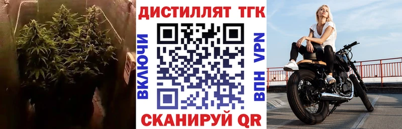 кракен ссылки  Заринск  Дистиллят ТГК THC oil  цена  