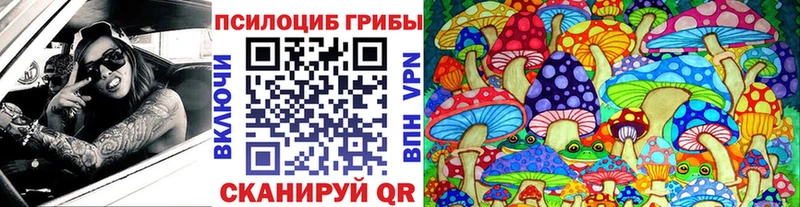 закладки Заринск Галлюциногенные грибы Cubensis