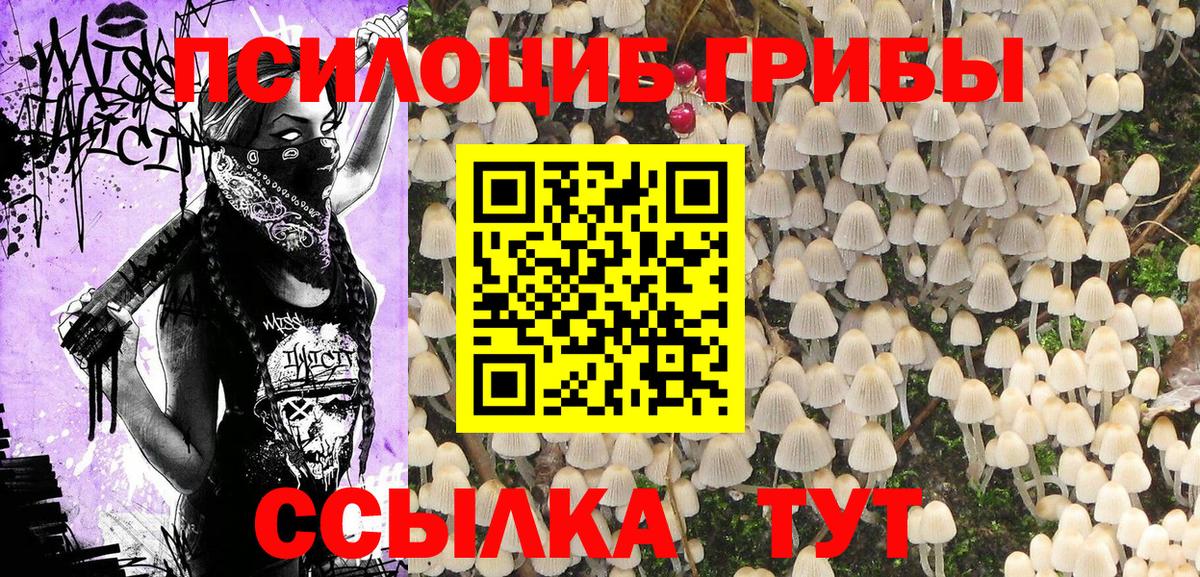 Псилоцибиновые грибы Psilocybe  Вход с VPN  Псилоцибиновые грибы GOLDEN TEACHER  Заринск 